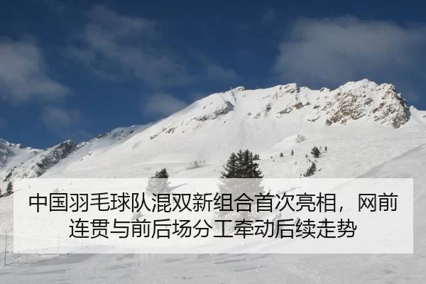 中国羽毛球队混双新组合首次亮相，网前连贯与前后场分工牵动后续走势
